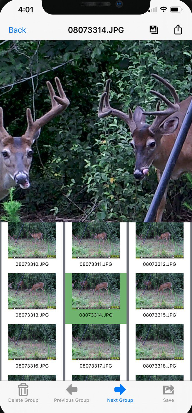 Trail camera photos in the DeerBrain card reader